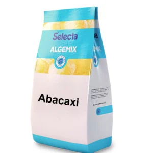 BASE ALGEMIX ABACAXI 1KG