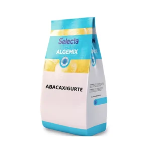 BASE ALGEMIX ABACAXIGURTE 1KG