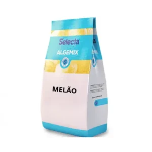 BASE ALGEMIX MELÃO 1KG